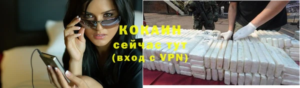 крисы Богородск