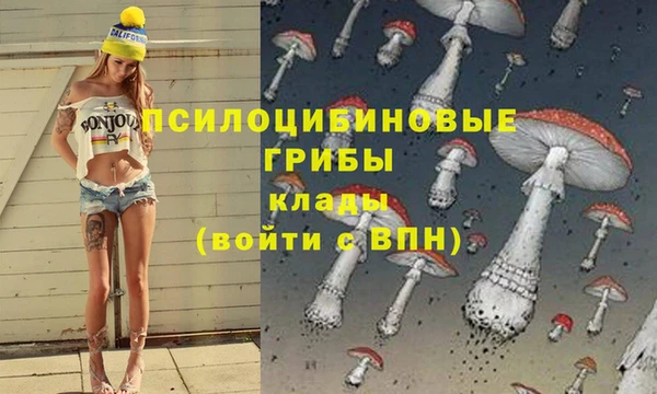 ешки Богданович
