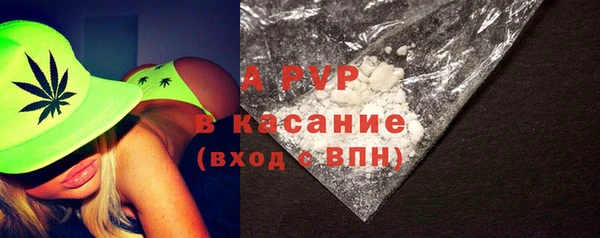 ешки Богданович