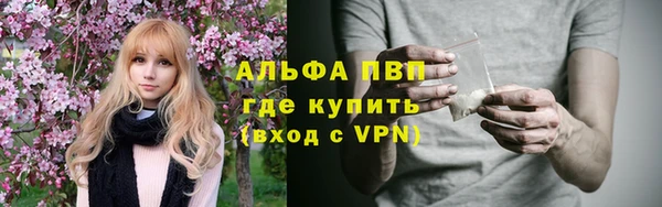 крисы Богородск