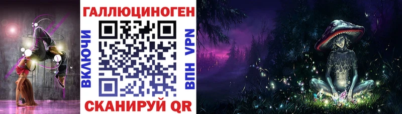 даркнет сайт  площадка телеграм  Галлюциногенные грибы Psilocybe  Новороссийск 